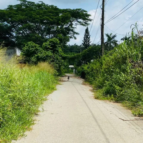 5x45m, giá chỉ 4xx, full thổ cư, 200m kết nối ra DT750, Bàu Bàng, Bình Dương