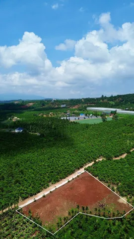 ĐẤT ĐINH VĂN LÂM HÀ - TRIỆU 🌿
Diện tích: 166m² - 274m2 (ngang 5-6m) sẵn 100m2 thổ cư