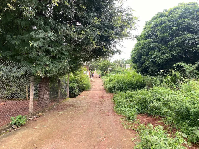 🇻🇳BÁN LÔ ĐẤT ĐẸP THÔN 4 CUEBUR - PHƯỜNG BUÔN MA THUỘT