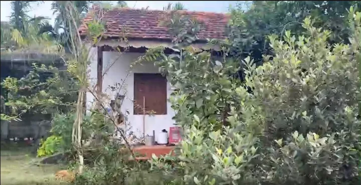 🏡 XU HƯỚNG BỎ PHỐ VỀ VƯỜN - ĐẤT PHƯỜNG TÂN LẬP DIỆN TÍCH LỚN GIÁ RẺ 🏡