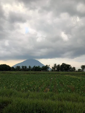 Bán 4.000m2 đất gần cầu K13, phường Ninh Thạnh, view Núi Bà Đen, đất lúa, giá 2.2tỷ