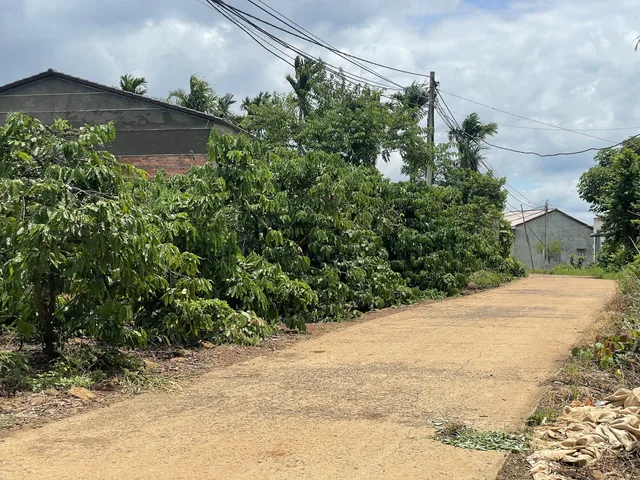 Đất nghỉ dưỡng có sẵn bìa , xã eaphe quy hoạch lên đô thị