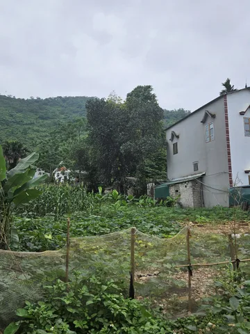 ⚡️ BẮT ĐÁY LƯƠNG SƠN - LÔ 660M² MẶT TIỀN 15M ⚡️
Giá 5.2 tỷ = 7.9tr/m² - Rẻ hơn thị trường