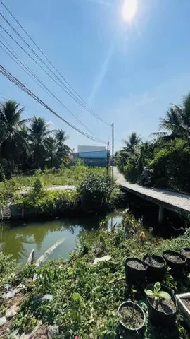 Đất mặt tiền nhựa N5, Tân Mỹ Chánh, Tp Mỹ Tho