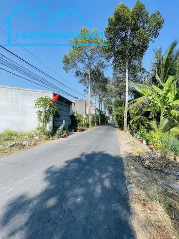 Đất mặt tiền Trần Thị Thơm, Tân Mỹ Chánh, Mỹ Tho Tiền Giang