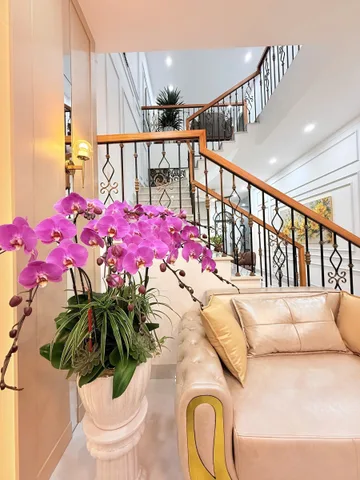 Nhà 1 mê mới đẹp,Mặt Tiền KD Nơ Trang Gưh ( Đối diện trường Lý Tự Trọng). Ngay Trung tâm Phố Cũ BMT - Kinh doanh nhiều ngành nghề