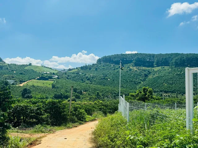 Đất View đồi Thông. 23km tới chợ Đà Lạt.Sẵn Hàng rào Betong xung quanh. Giá 675 Triệu