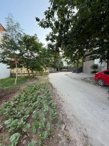 BÁN ĐẤT YÊN VĨNH – 80M² – HƠN 9 TỶ – Ô TÔ TRÁNH – NGÕ THÔNG – XÂY CCMN ĐẸP