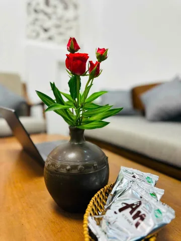 House for rent, 450 m², Hải Châu