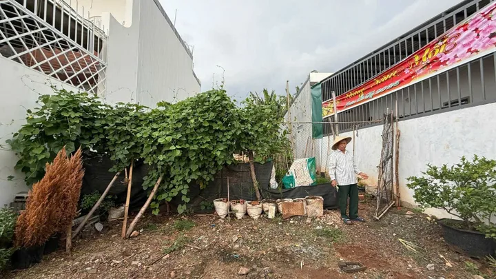 🔥 Lô đất 7x17m, có thổ cư, giá chỉ 830 triệu.