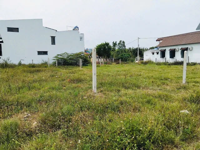 BÁN ĐẤT MẶT TIỀN ĐƯỜNG NHỰA GẦN TRƯỜNG TRẦN ĐẠI NGHĨA - DIÊN LẠC
- DT: 99m2 ngang 5m (60m2 thổ cư)
- Đường nhựa rộng 5m - 6m qh mở rộng 16m. Cách đường HL39 chỉ 200m.