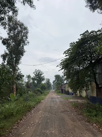 Bán đất 2500m² ngang 24m giá 17.5 tỷ tại Đường Xuân Thới Sơn 5 Xã Xuân Thới Sơn
