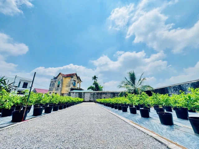 🌹 FO Văn Giang – Chỉ nhỉnh 1,7 tỷ đồng/lô🌹

🚗 Ô tô vào tận đất
📍 Thôn AB, Quán Trạch, Văn Giang, Hưng Yên

✅ View hồ thoáng đẹp
✅ Bán kính 500m đầy đủ tiện ích: chợ, trường học, PVF, ĐH Bách Khoa CS2…
✅ Phù hợp đầu tư hoặc xây ở
✅ Pháp lý rõ ràng