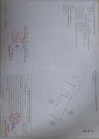 🚨🚨🚨CỰC SỐC. ĐẤT KHU ĐÔ THỊ MỚI SỞ DẦU, 61M, GIÁ CHỊ 5,5 TỶ