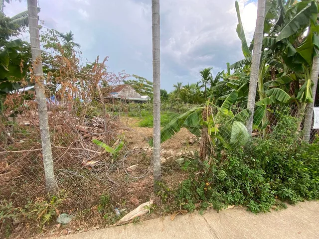 🔥 ĐẤT ĐẸP NGHĨA DÕNG - GIÁ ĐẦU TƯ CHỈ 4XX TRIỆU 🔥