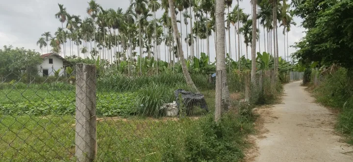 ĐẤT VƯỜN CÓ ĐẤT Ở RỘNG NGHĨA HÀ (AN PHÚ) , QUẢNG NGÃI