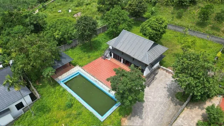 🏡 CHÁN PHỐ RỒI, VỀ NÚI NUÔI CÁ TRỒNG RAU THÔI 🏡 LƯƠNG SƠN HÒA BÌNH