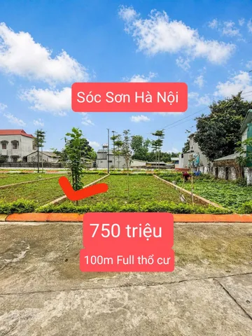 750 triệu đất 90m toàn bộ thổ cư