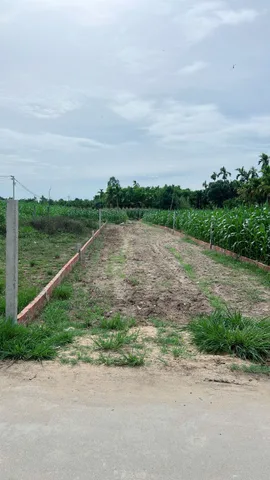 BÁN VƯỜN MINI ĐIỀN HÒA, NGHĨA ĐIỀN, QUẢNG NGÃI