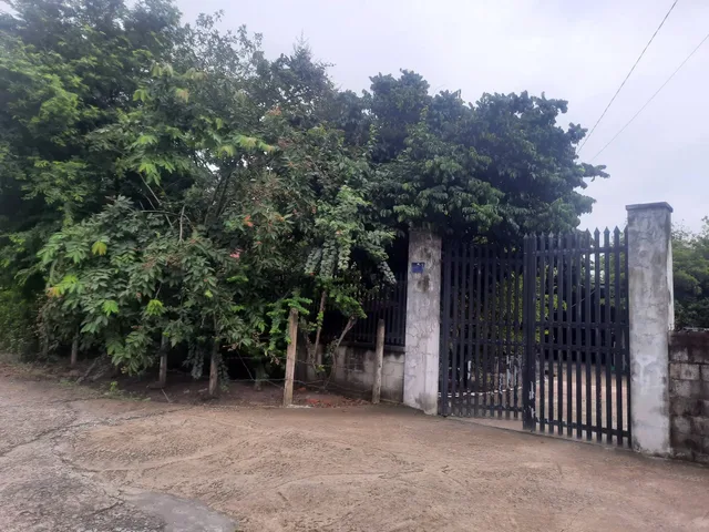 Bán nhà vườn đường Ôtô xe Tải 1/ngắn đường Nguyễn Thị Rành xã Nhuận Đức Củ Chi TPHCM, DT: 1500m2.