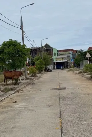 BÁN LÔ ĐẤT ĐẤU GIÁ TẠI KHU DÂN CƯ NGHĨA PHÚ, AN PHÚ, QUẢNG NGÃI