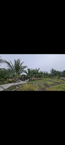 Bán Đất 7900m2 có sẵn 7900 m2 thổ cư giá 75 tỷ tại Phường Tân Tạo TP. Hồ Chí Minh