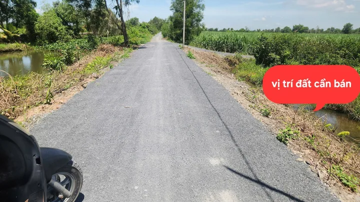 Bán Đất 500m2 giá 545 triệu tại Đường ĐT 816 Xã Thạnh Lợi Huyện Bến Lức Long An
