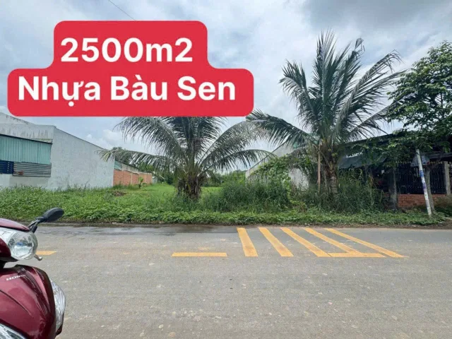 Bán Đất 2500m2 có sẵn 380 m2 thổ cư giá 5.5 tỷ tại Xã Đức Lập Hạ Huyện Đức Hòa Long An