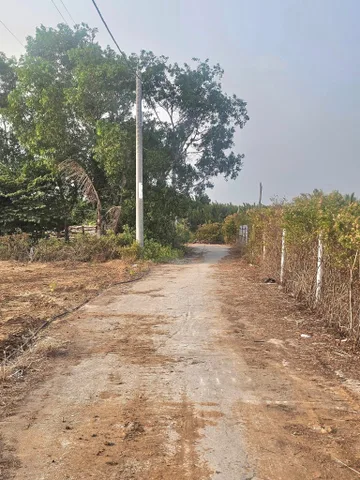 Bán Đất 2100m2 có sẵn 600 m2 thổ cư giá 21 tỷ tại Xã Long Hòa Huyện Cần Giờ TP. Hồ Chí Minh