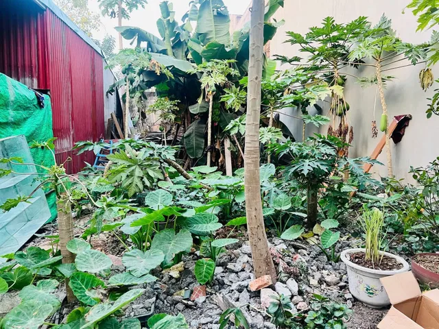 Bán Đất 73m2 có sẵn 73 m2 thổ cư giá 2.5 tỷ tại - Chọn - Phường Hùng Vương Quận Hồng Bàng Hải Phòng