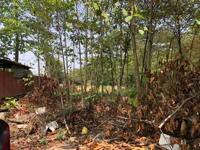 BÁN ĐẤT BÌNH CHÁNH 2.320M2 38 TỶ NGAY CHỢ NỮ DÂN CÔNG QUỸ ĐẤT LỚN TIỀM NĂNG ĐẦU TƯ