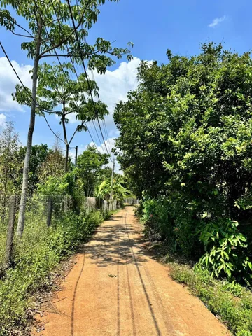Bán Đất 1923m2 có sẵn 300 m2 thổ cư giá 4.1 tỷ tại Xã Xuân Đường Huyện Cẩm Mỹ Đồng Nai