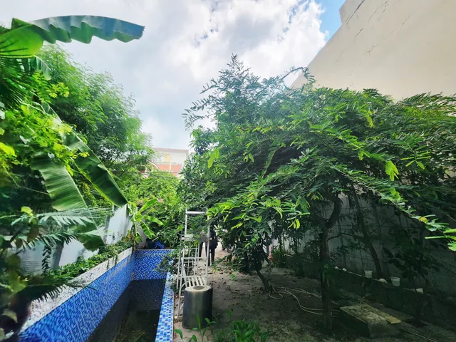Bán Nhà riêng 294m2 có sẵn 294 m2 thổ cư giá 14 tỷ Gần Đường Huỳnh Văn Nghệ Phường Bửu Long Thành phố Biên Hòa Đồng Nai