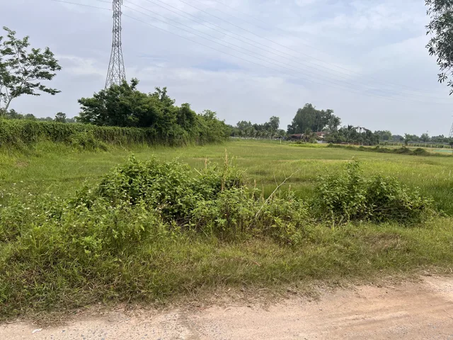 Bán 1200m2 đất vườn ngay khu vực Tân An Hội, mặt tiền đường nhựa 8m, giá 2 tỷ 4