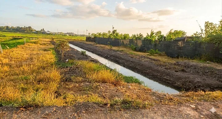 Miếng đất vườn 800m2 , ngay sau lưng tiệm cơm - tạp hoá Đỗ Trang, đường Trung Lập, Củ Chi