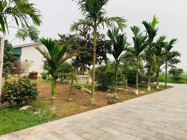 Bán Đất 588m2 có sẵn 128 m2 thổ cư giá 12 tỷ tại Xã Quảng Ninh Huyện Quảng Xương Thanh Hóa