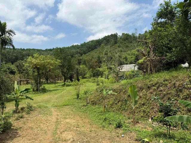 BÁN TRANG TRẠI FARMSTAY HÒA NINH HÒA VANG ĐÀ NẴNG 📌📌📌LÀM VIỆC TRỰC TIẾP GIÁ TỐT !!!