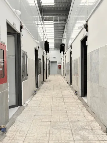 CHỦ NGỘP CẦN BÁN GẤP – DÃY TRỌ ĐANG KINH DOANH, THU NHẬP 20 TRIỆU/THÁNG CHỈ 1 TỶ 250
