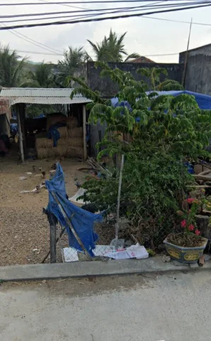 Bán Đất 100m2 có sẵn 100 m2 thổ cư giá 800 triệu tại Xã Bình Khê Gia Lai