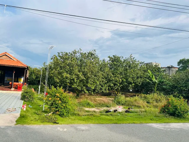 Bán Đất 1500m2 có sẵn 100 m2 thổ cư, bao sổ giá 2.1 tỷ tại - Chọn - Xã Trừ Văn Thố Huyện Bàu Bàng Bình Dương