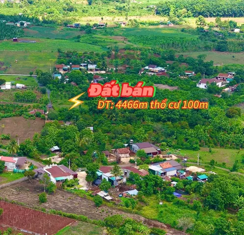 Bán Đất 4446m2 có sẵn 100 m2 thổ cư giá 980 triệu tại Xã Ea Kiết Huyện Cư M'gar Đắk Lắk