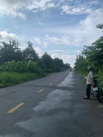 bán đất mặt tiền đường TÔN ĐỨC THẮNG (cũ) đoạn viện lúa Thới Hòa, Ô Môn