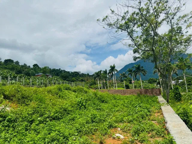 DUY NHẤT LÔ ĐẤT NGHỈ DƯỠNG YÊN BÀI GIÁ CHỦ THỞ OXY