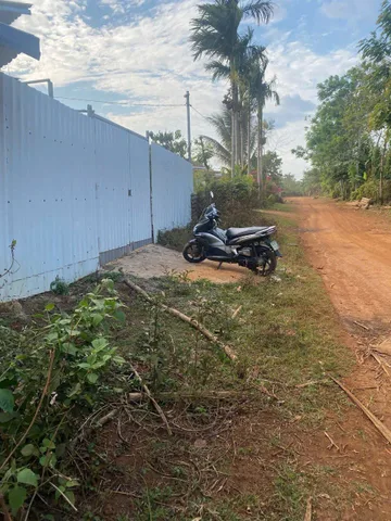 📍 BÁN ĐẤT NỀN BUÔN KANG, EA KNUẾC (KM19) - SẴN VƯỜN SẦU RIÊNG