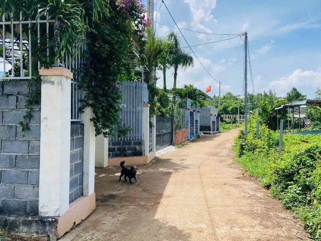 Bán lô 2 mặt tiền trung tâm Đất đỏ gần nhà lưu niệm - 614m2 có 366m2 thổ gía 3 tỷ 250