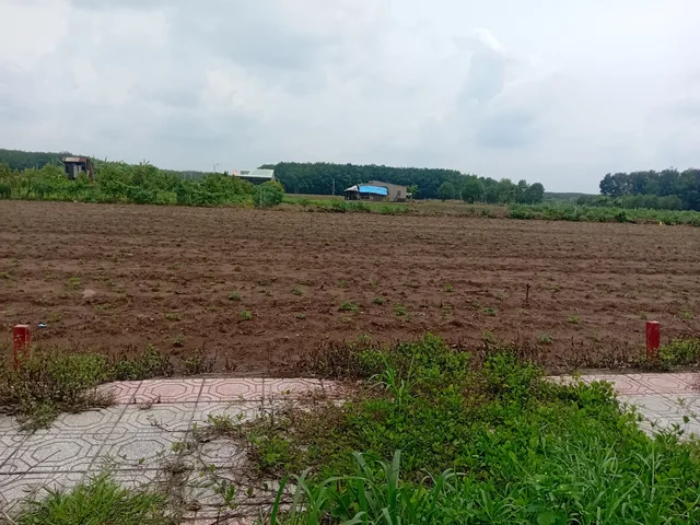 Bán Đất 205m2 có sẵn 100 m2 thổ cư giá 698 triệu tại - Chọn - Xã Minh Lập Thị xã Chơn Thành Bình Phước