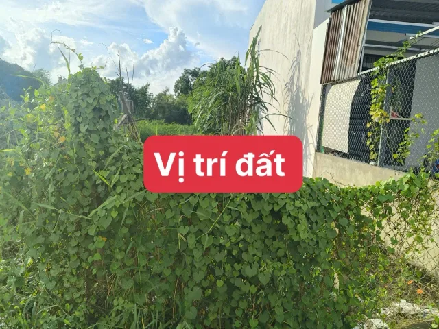 Bán Đất 124m2 có sẵn 108 m2 thổ cư giá 2.4 tỷ tại - Xã Tân Quý Tây Huyện Bình Chánh TP. Hồ Chí Minh