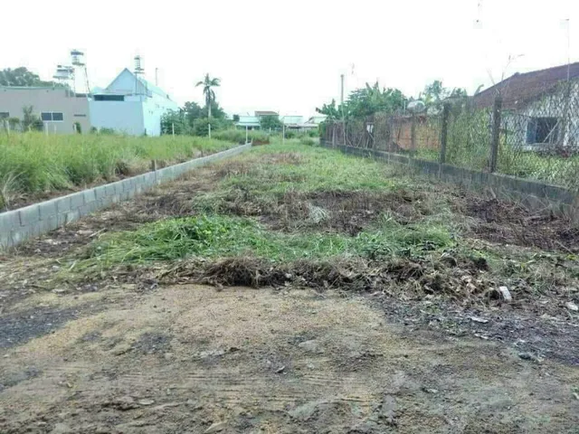 🛑Bán Đất 280m2 có sẵn 260 m2 thổ cư giá 2.9 tỷ tại - Chọn - Xã Phước Vĩnh An Huyện Củ Chi TP. Hồ Chí Minh