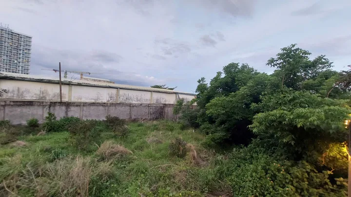 Cho thuê Đất 900m2  MẶT TIỀN Đường Thùy Vân Phường 2 VT 💎 giá 140 triệu
