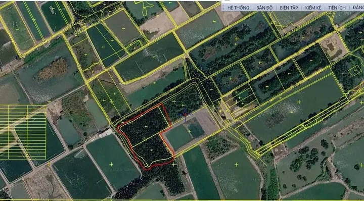 Bán Đất 4350.5m2 giá 5.6 tỷ tại Xã Bình Khánh Huyện Cần Giờ TP. Hồ Chí Minh